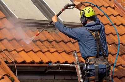 Démoussage et hydrofuge de toiture à Précilhon